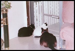 Three at the door
