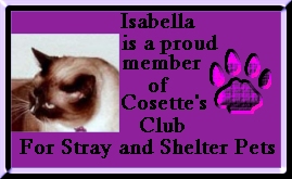 Cosette's Shelter Club