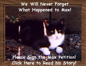 Justice for Max