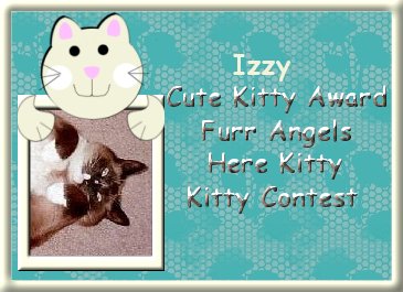 Izzy Cute Kitty Award
