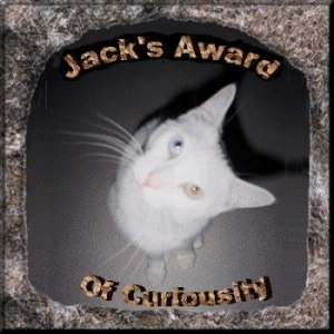 Award from Rainbow Cat Rescue