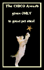Chico's Great Pet Site Award