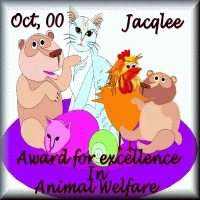 Vanora Spring's award for Animal Welfare