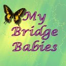 Bridge Babies