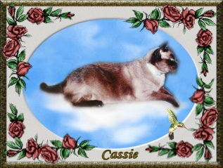 Cassie on a cloud