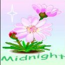 Click for pic of Midnight