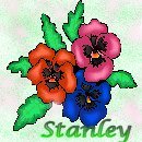 click for pic of Stanley