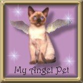 Angel Pet