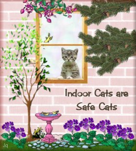 Inside Cats are Safe Cats