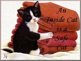 An inside cat is a safe cat.