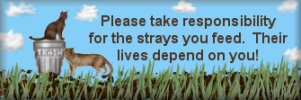 Be responsible for the strays you feed.