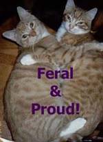 Feral and Proud