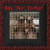 Say NO to Fur!