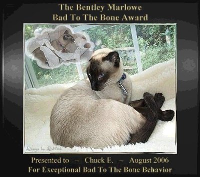 Myown Bad to the Bone award fur August