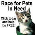 Click to help pets in need