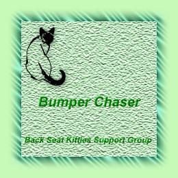 Bumper Chaser level banner