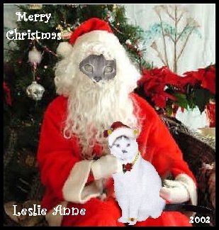 Leslie with Santa Bubba