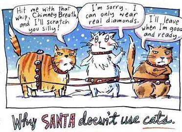 Why Santa doesn't use cats to pull his sleigh