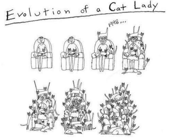Cat Lady Evolution