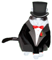 Sam in his tuxedo