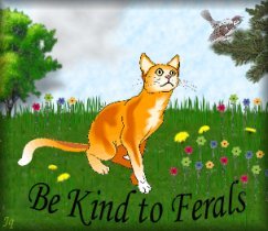 Be Kind to Ferals