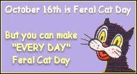 Make every day Feral Cat Day