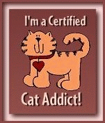 Cat Addict