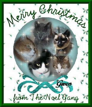 from the Noel gang and Meowmie Gwen