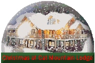 Christmas at Cat Mountain Lodge