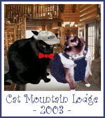 Isabella and Twist at Cat Mountain Lodge