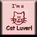 I am a Cat Luver