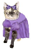 Patches in purple dress