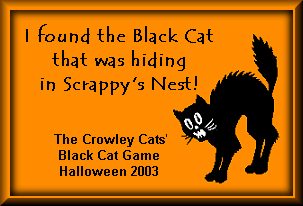 Play Catch the Black Cat at the Crowley Cats