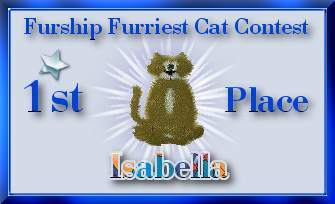 Furriest Cat Contest Winner