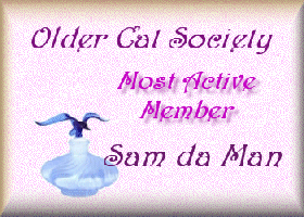 Most Active Member