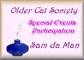 Special Events Participation
