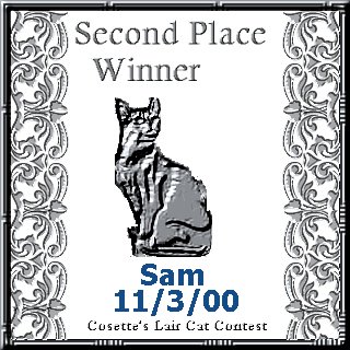 Sam 2nd Place