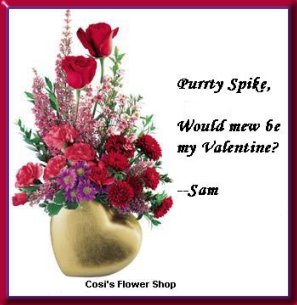 Spike's Valentine from Sam