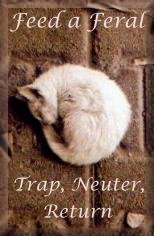 Trap, Neuter, Return