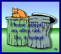 Adopt an Alley Cat