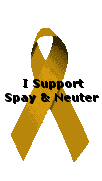 Spay/Neuter Ribbon