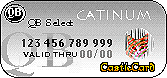 We accept the Catinum card!