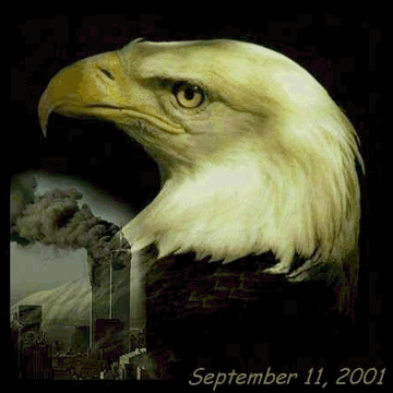 Eagle weeping for America