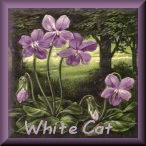 White Cat~In memory