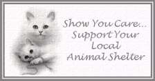 Support Your Local Shelter