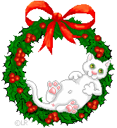 Cat in Wreath