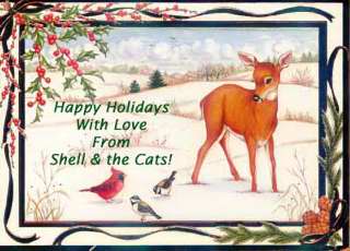 From Shell and the Cats