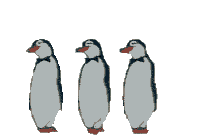Penguins Dancing