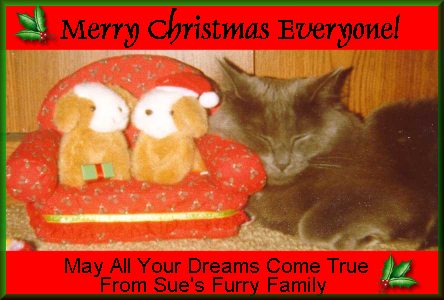 from Sue's Furry Family