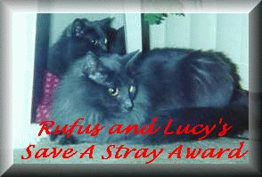 Rufus and Lucy's Award - Save a Stray!